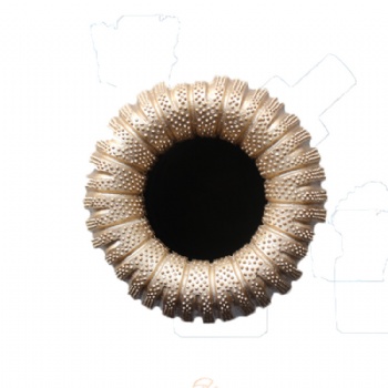 Core drill bit
