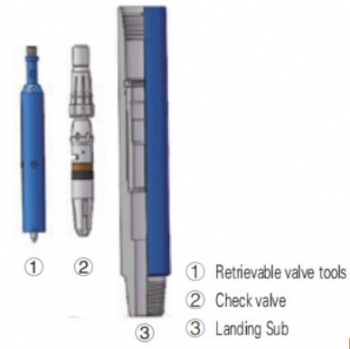 Retrievable Drop-in Check Valve